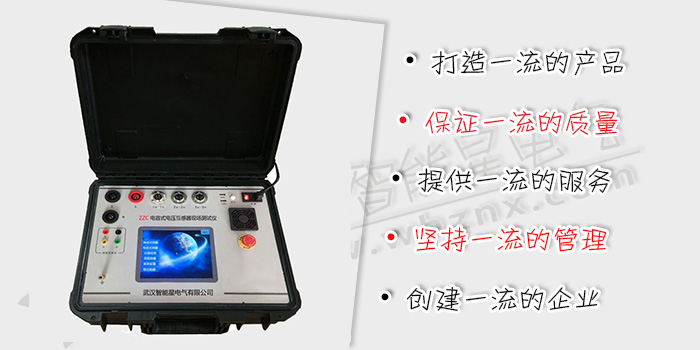 電容式電壓互感器現場測試儀