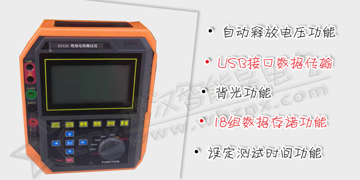 智能兆歐表
